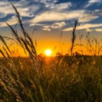 campagne coucher de soleil